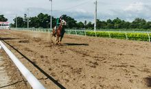 八面玲珑 对待不一样的人有不一样态度的四大星座