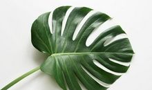 11月中旬，运势上涨，大吉大利！3属相前有贵人，后有鸿运，日子红火要暴富