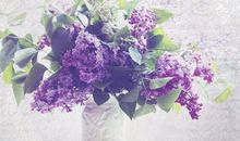 12星座的爱情预知力如何呀