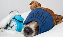 周公解梦：做梦梦见老公出轨有外遇是什么意思？