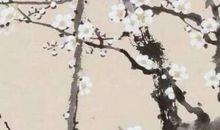 2020庚子年农历八月二十五出生的女孩五行属什么，如何取名字