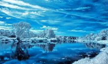 11月家庭美满，财旺福气旺，运势如日中天的四大生肖