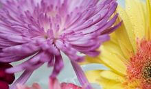 本周之后能量大爆发，求财求福称心如意，财富亨通的3生肖！