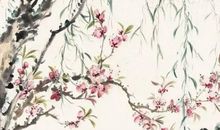 2020年农历四月出生的鼠宝宝满分高分名字