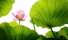 正邪难分的3个星座，可以对你善良，也可以对你冷血