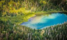 4月30号前，财神独爱，横财大发，运势高升的四生肖