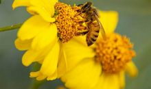 为什么这个血型人总是存不下钱