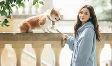 摩羯座周运势1.6-1.12，风雨飘摇加意外不断，精力被工作牵扯