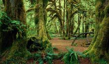 11月与钱有缘，财运大旺，顺风顺水的4个生肖