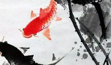 11.8-18号幸福敲门，福气满堂，富贵如山的四个生肖