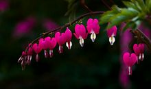 未来半年吉星护佑，事业运势高涨，四属相财气一路顺畅，钱财不断