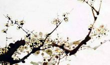 生肖属马女2020年12月份生宝宝好不好，命好吗