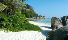 11月将会天赐鸿运，吉星照耀，财运横生的四大生肖