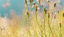 81年属鸡的在2019年贵人是谁？贵人是怎么出现的？(图文)