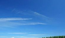 11月上旬有钱有福，财神点名，必享富贵的四大生肖