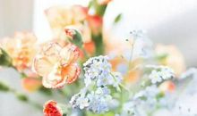 2020年农历八月,九月和十月生肖属猴和生肖属鸡订婚吉日精选