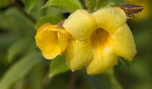 接下来三个月贵人相助，整体运势攀升，四属相喜财进门，富贵绵延