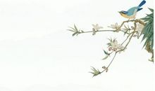 2020年3月31号出生的女孩怎么样取名字，结合寓意好的字起名