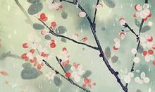 生肖属牛女2020年7月份生小孩好不好，会相合吗