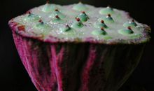 3月15号起财星照耀，大运来袭，财高福旺，注定家财万贯的四属相