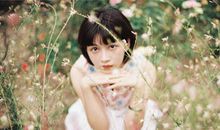 只想恋爱不想结婚的生肖都有谁