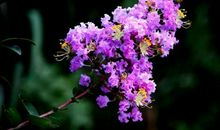 摩羯座绝情的一面，你了解多少？