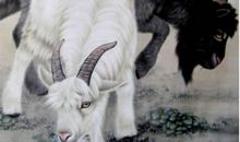 2020年5月生肖属羊运势,本月难成大业，只能徐徐图之