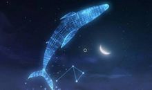 未来一周将会财运大旺，双喜事临门，诸事顺遂的星座