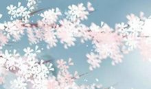 生肖属牛女2020年9月份生小孩好不好，命好吗