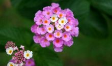 水瓶座的好，你了解多少？