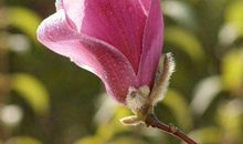 11月17号开始运气越来越好，赚钱越来越多，横财连发的3生肖