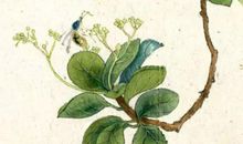 2020年3月20号二月二十七生的女孩是什么命，起什么名字吉祥