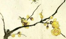 2020年3月21号二月二十八生的女孩是什么命，起什么名字好