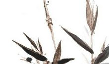 生肖属牛妈妈适合生什么生肖属相的宝宝，有福气