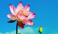 熬到3月，运势翻几番，四面来财，福运亨通的属相