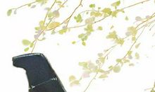 生肖属鼠女2020年12月份生小孩好不好，命好吗