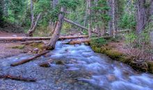 11月财神坐家中，喜事滚滚来，钱财数不清的4个生肖