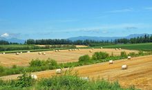 11月霉运散、好运来，家财数不清，接住好运的四大生肖