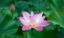 钱财翻倍的3生肖，19年最后2月，运势飘红，事事如愿