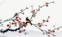 2020年4月2日三月初十生的女孩是什么命，取什么名字有气质