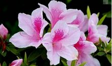 11月好运不断，身边有贵人相助的5大星座，看看有你吗