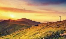 15号喜、16号顺，天赐鸿运，3属相存款暴涨，大吉大利赚大钱