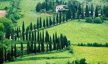 11月先有财神，再有贵人，仕途光明的4大生肖