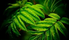 十二星座当中，能够和这三个星座一见钟情的星座有哪些！