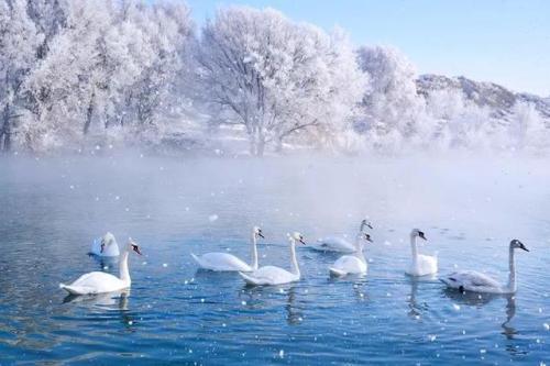 冬至2019年是什么时候 冬至上一个节气是大雪吗？(图文) 1