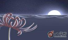 长美人痣的女人运势如何