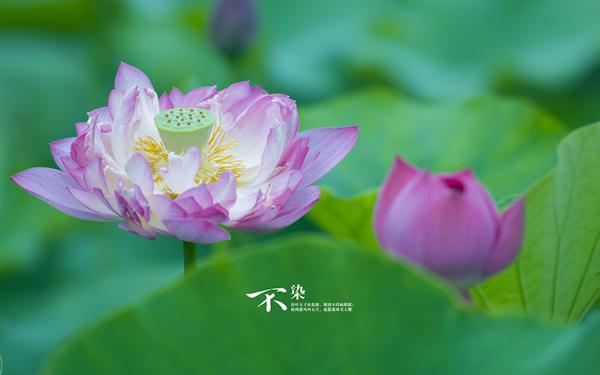 小满之前，横财如雨，3大生肖事业一路高歌，咸鱼大翻身