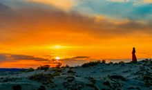 7天后前程似锦，吉运缠绕，赚钱多多，不缺福禄的生肖