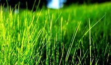 未来5天得财得势，天赐大兆头，日子红火的四大生肖