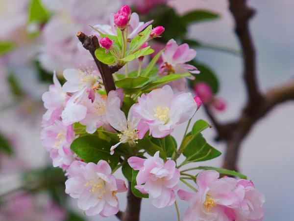 2月事业蒸蒸日上，财运大涨，横财不断的生肖！